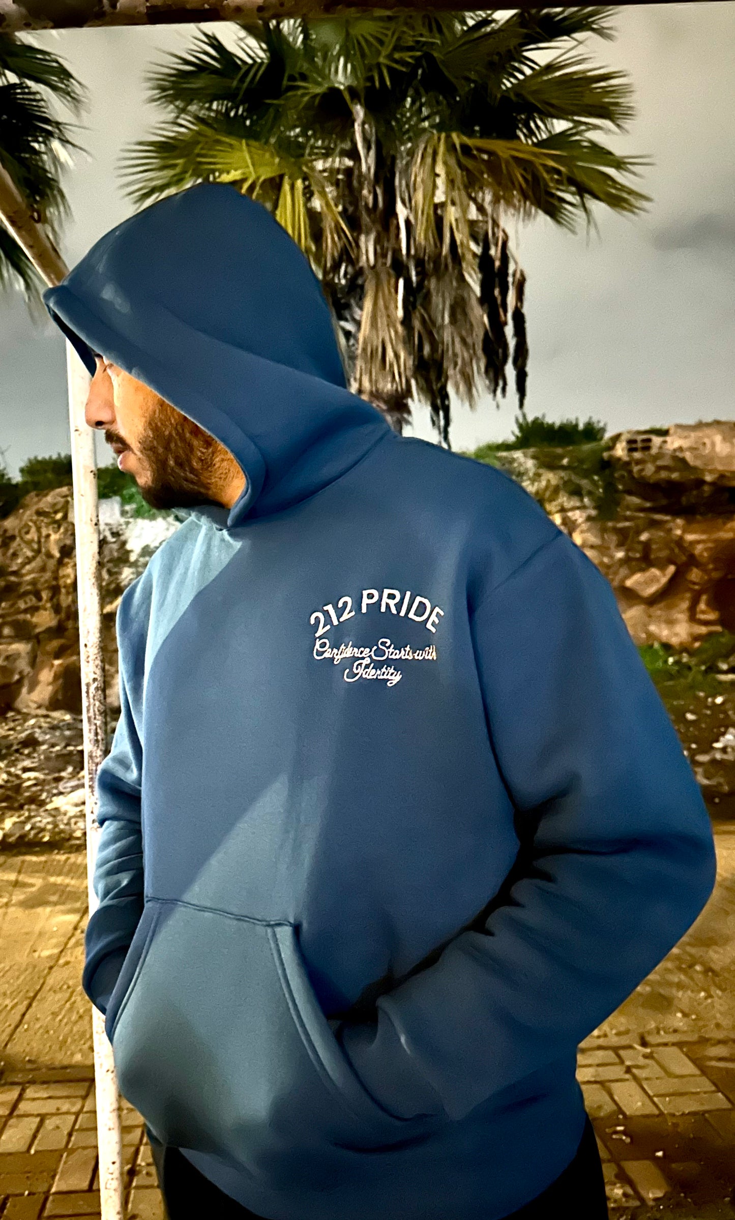 Hoodies oversize haute qualité cotton identique